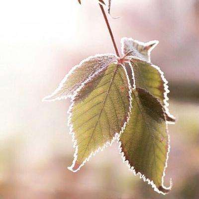 爱体育APP下载手机版